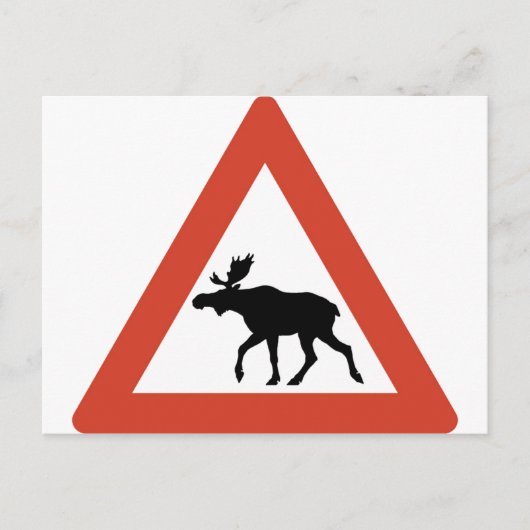 Norwegischer Elch Postkarte (Vorderseite)