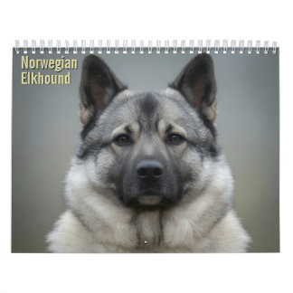 Norwegischer Elchhund 2027 Wandkalender