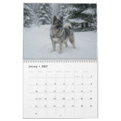 Norwegischer Elchhund 2027 Wandkalender (Jan 2027)