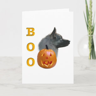 Norwegischer Elkhound Boo Karte
