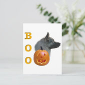 Norwegischer Elkhound Boo Postkarte (Stehend Vorderseite)