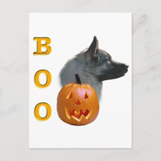 Norwegischer Elkhound Boo Postkarte (Vorderseite)