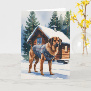Norwegischer Elkhound Dog Weihnachtsgrüßen Karte