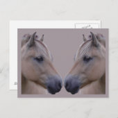 Norwegischer Fjord Postkarte (Vorne/Hinten)