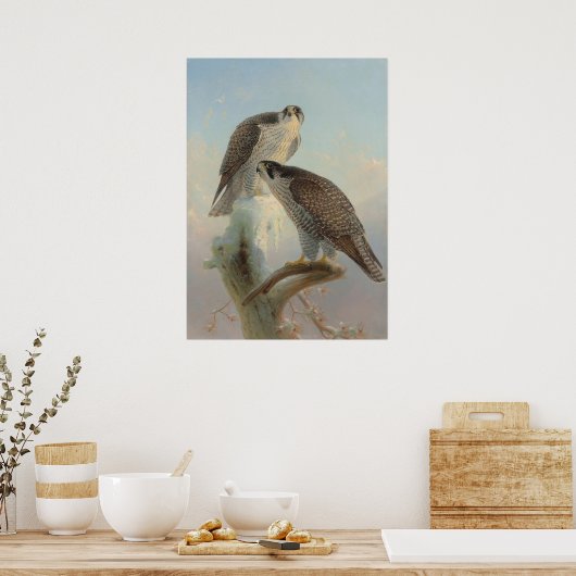 Norwegischer Gyrfalcon von Joseph Wolf Poster (Küche)