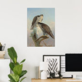 Norwegischer Gyrfalcon von Joseph Wolf Poster (Heimbüro)