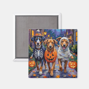 Norwegischer Lundehund Süßigkeitenbetteln Hallowee Magnet