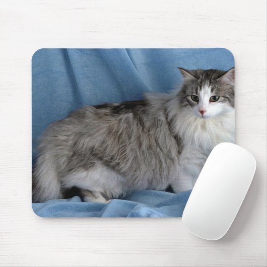 Norwegischer Wald, Silber, Tabby und Weiß Mousepad (Mit Mouse)