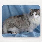 Norwegischer Wald, Silber, Tabby und Weiß Mousepad (Vorne)