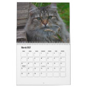 Norwegischer Waldkatze-Kalender Kalender (Mär 2027)