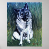 Norwegisches Elkhound-Dog-Portrait Poster (Vorne)
