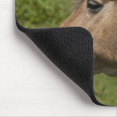 Norwegisches Fjord-Pferd Mousepad (Ecke)