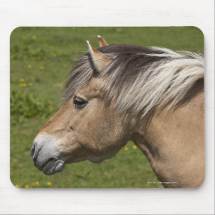 Norwegisches Fjord-Pferd Mousepad