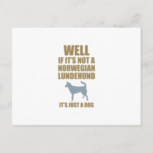 Norwegisches Lundehund Postkarte