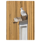 Norwegisches Seagull Klemmbrett (Rückseite)