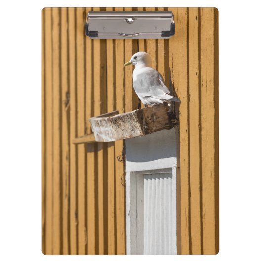 Norwegisches Seagull Klemmbrett (Vorderseite)