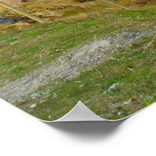 Norwegisches Wasserfallposter Poster (Ecke)