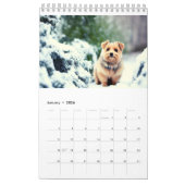 Norwich Norfolk Terrier 2023 Kalender (Jan 2026)