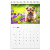 Norwich Norfolk Terrier 2023 Kalender (Mär 2026)