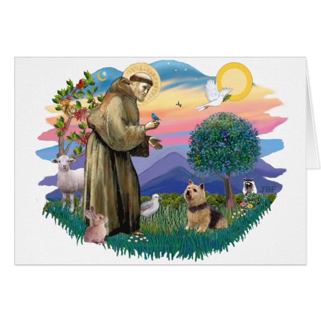 Norwich Terrier (Vorderseite (Horizontal))