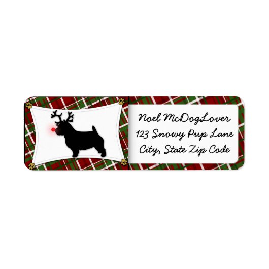 Norwich Terrier Christmas (Vorne)