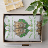 Norwich Terrier Christmas Seidenpapier (Geschenk)