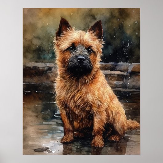 Norwich Terrier Dog Art Print Poster (Vorne)