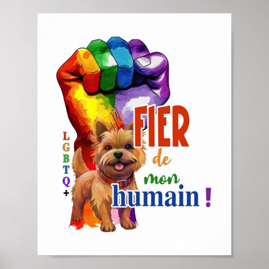 Norwich Terrier dog Poster (Vorne)