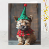 Norwich Terrier Elf Puppy Christmas Card Karte (Gelbe Blume)