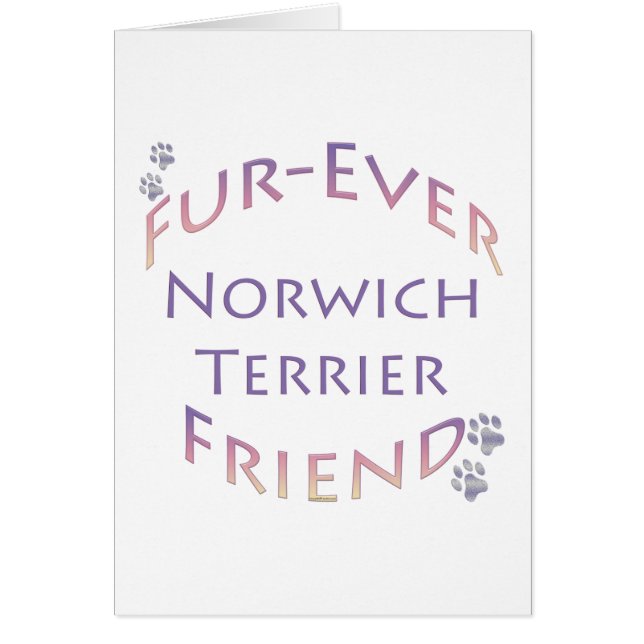 Norwich Terrier Furever (Vorne)