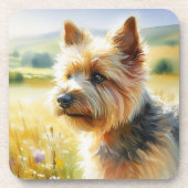 Norwich Terrier Getränkeuntersetzer (Vorderseite)