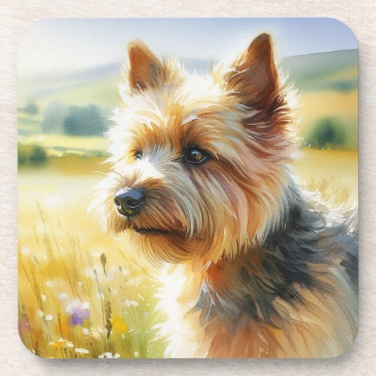 Norwich Terrier Getränkeuntersetzer (Vorderseite)