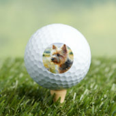 Norwich Terrier Golfball (Insitu T-Shirt)