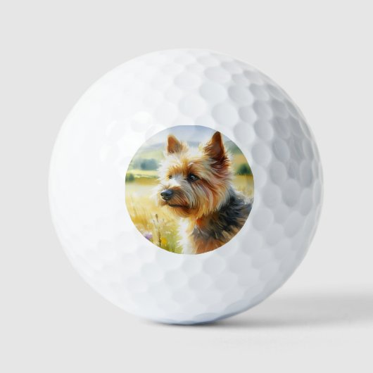 Norwich Terrier Golfball (Vorderseite)