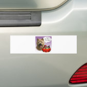 Norwich Terrier Halloween Candy Autoaufkleber (Auf Auto)