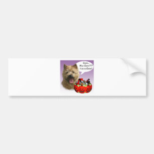 Norwich Terrier Halloween Candy Autoaufkleber