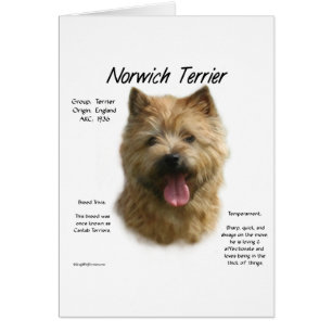 Norwich Terrier History Design