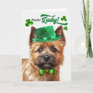 Norwich Terrier Hund fühlt sich am St. Patrick's D Feiertagskarte