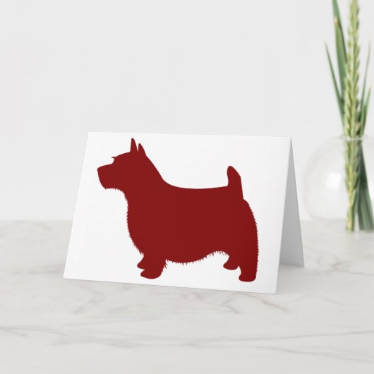 Norwich Terrier Karte (Vorderseite)
