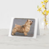 Norwich Terrier Karte (Gelbe Blume)
