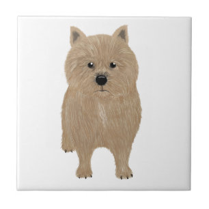 Norwich Terrier Keramik Tile Fliese