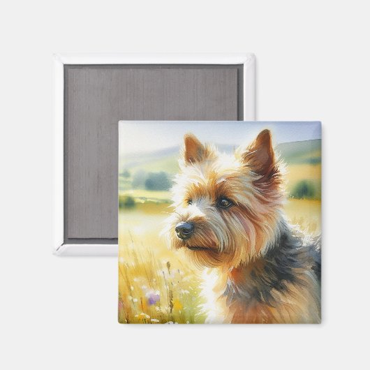 Norwich Terrier Magnet (Vorderseite/Rückseite)