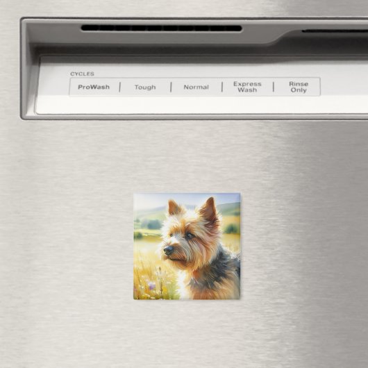 Norwich Terrier Magnet (In Situ (Geschirrspüler))