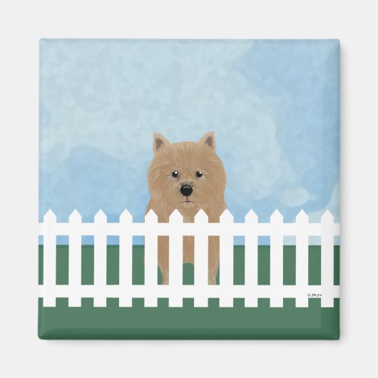 Norwich Terrier Magnet (Vorne)