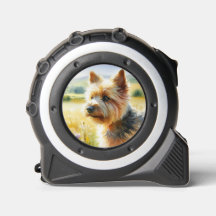 Norwich Terrier