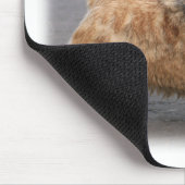 Norwich Terrier Mousepad (Ecke)