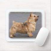 Norwich Terrier Mousepad (Mit Mouse)