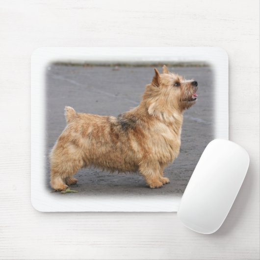 Norwich Terrier Mousepad (Mit Mouse)