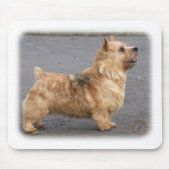 Norwich Terrier Mousepad (Vorne)