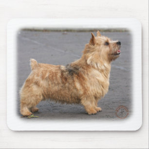 Norwich Terrier Mousepad